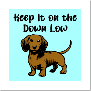 Keep It On The Down Low Posters and Art